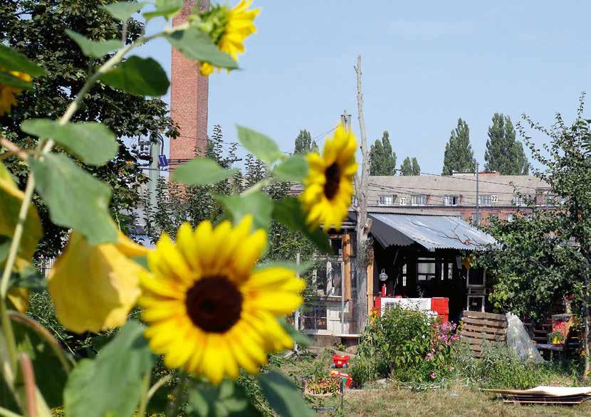 Steinofen und Pizzaecke im KuBiZ-Garten