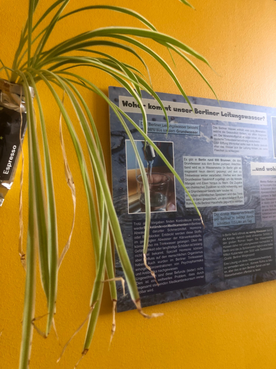 Bildungsangebote, Workshops und Ausstellungen